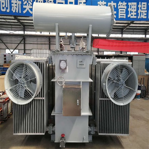 武陵10KV油浸式变压器